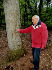 Aaltjo Oldenburger bij zijn A-boom in het Valtherbos