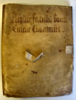 Emmen leenmanregister anno 1379-1384