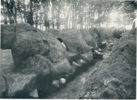 Foto Historisch Emmen Langgraf onderzoek Holwerda 1913