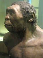 Neanderthaler Biochron Dierenpark Emmen